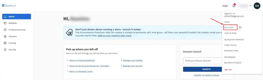 Bluehost Panel
