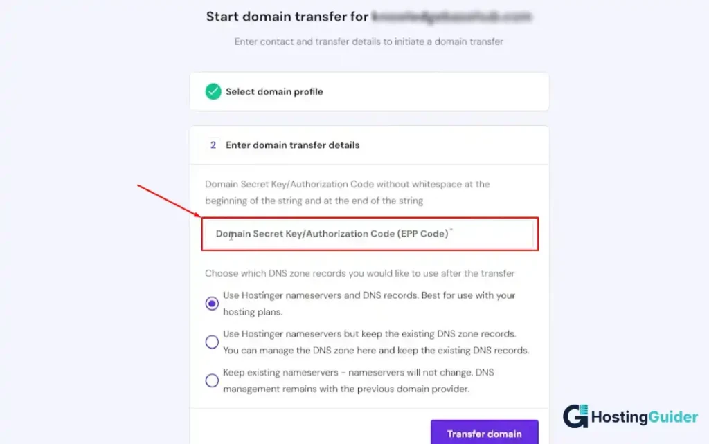 hostinger epp code entry field with dns zone options